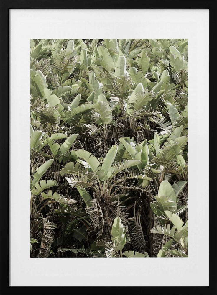 Verdant Canopy | Poster