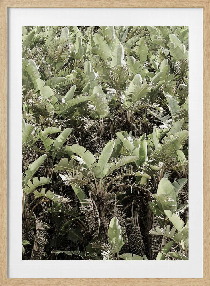 Verdant Canopy | Poster