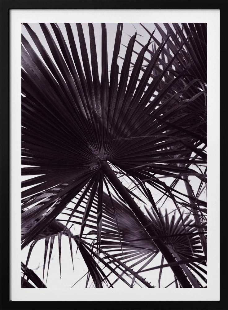 Palmsilhouet | Poster