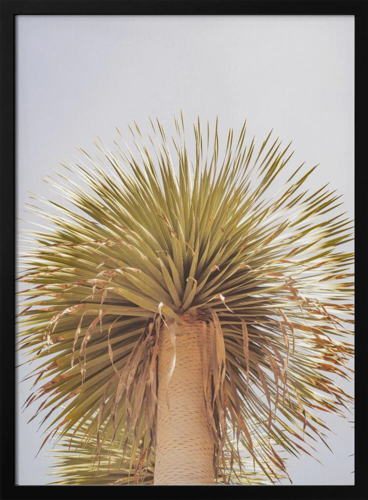 Desert Crown | Poster