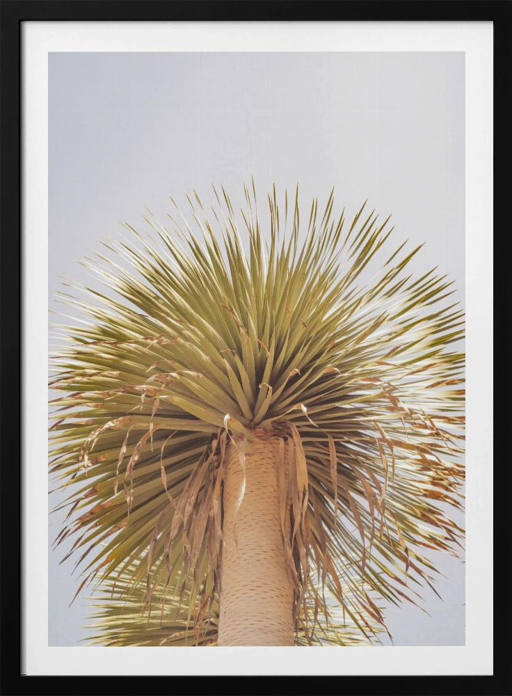 Desert Crown | Poster
