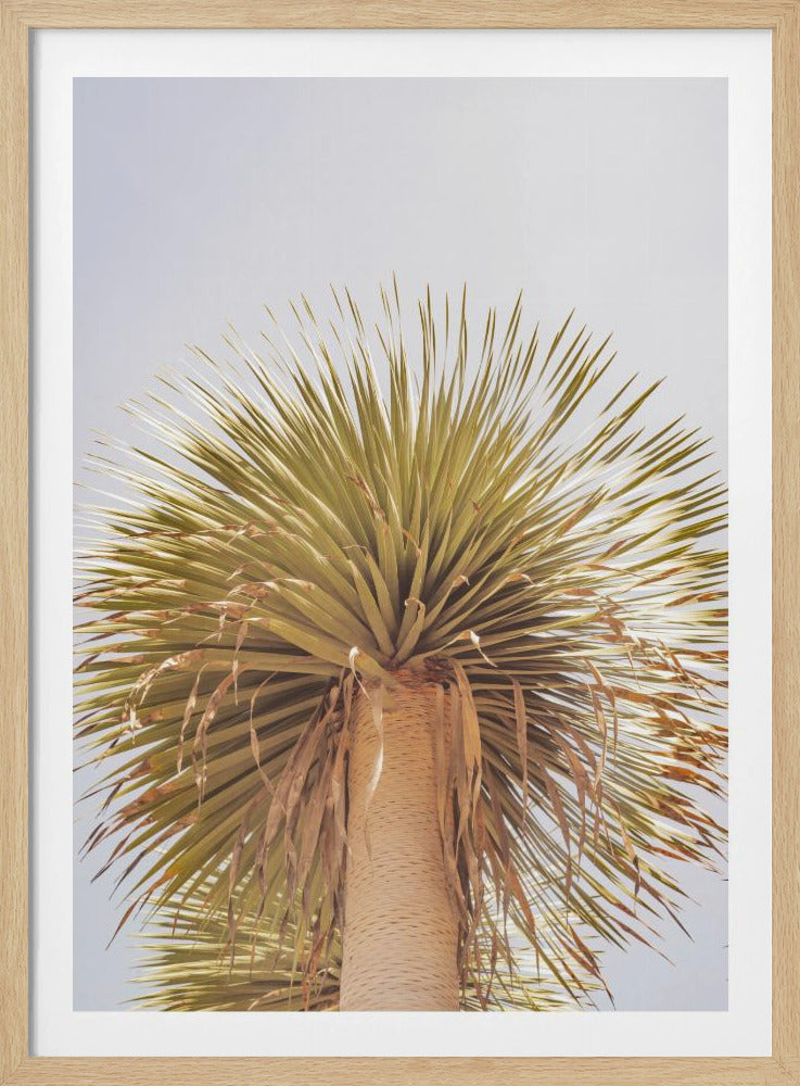 Desert Crown | Poster