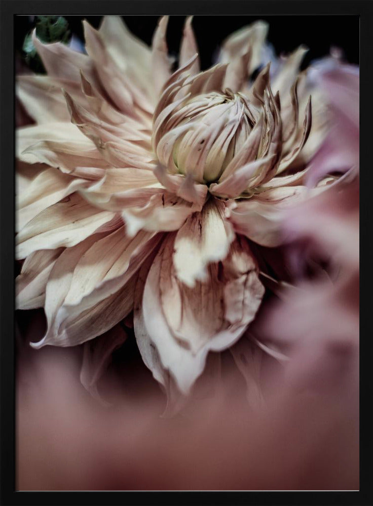 Bloesem Fluistert | Poster