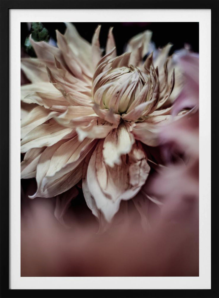 Bloesem Fluistert | Poster