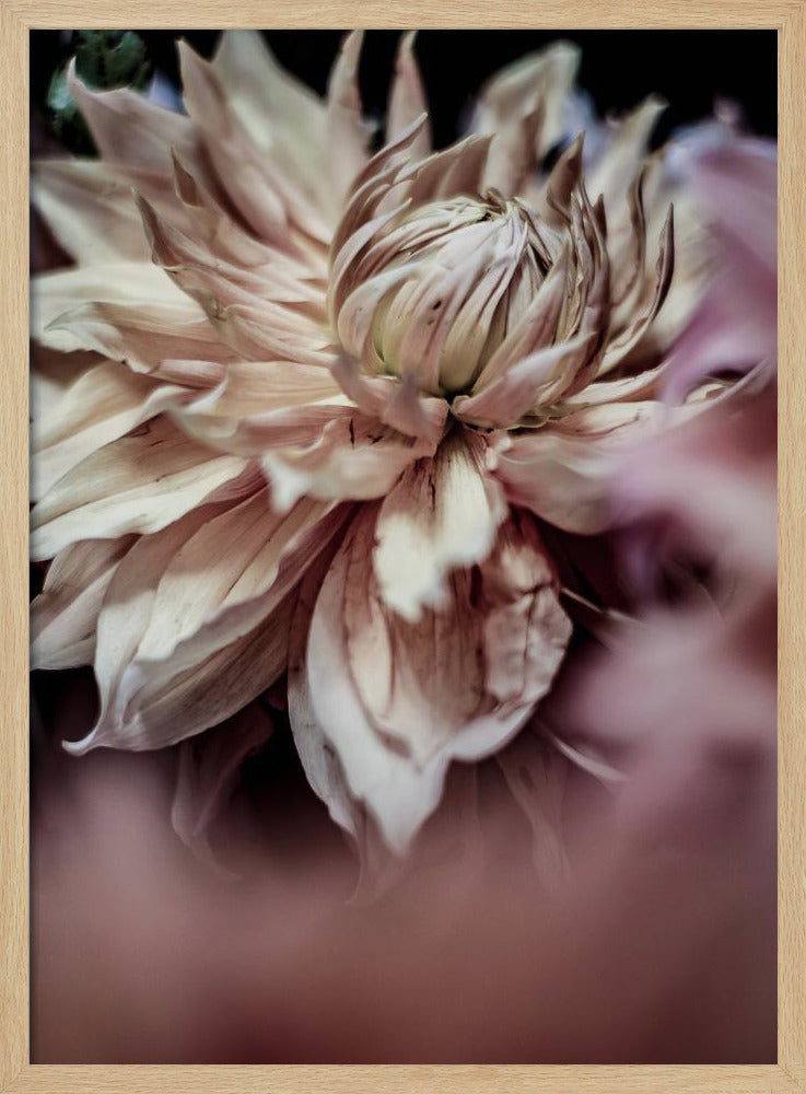 Bloesem Fluistert | Poster