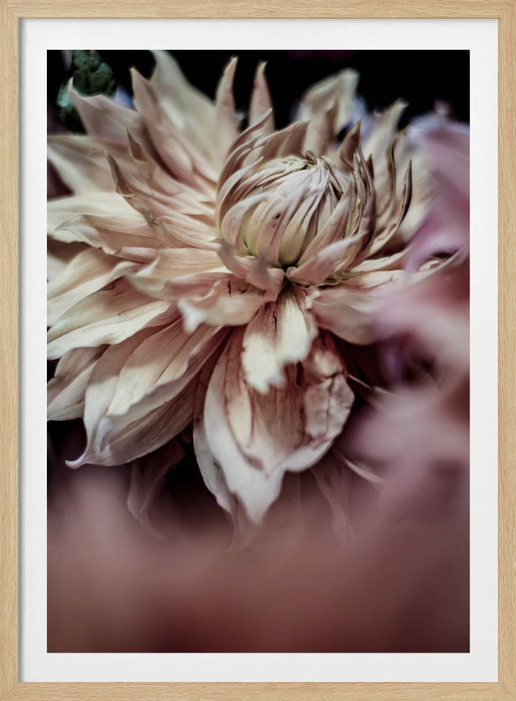 Bloesem Fluistert | Poster