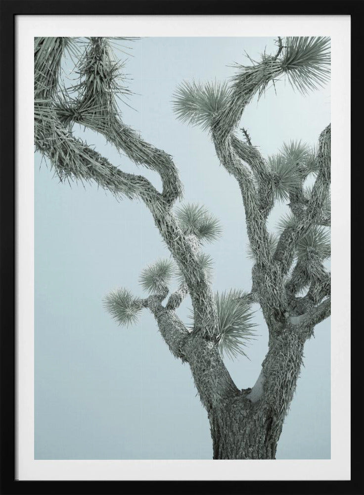 Desert Elegance | Poster