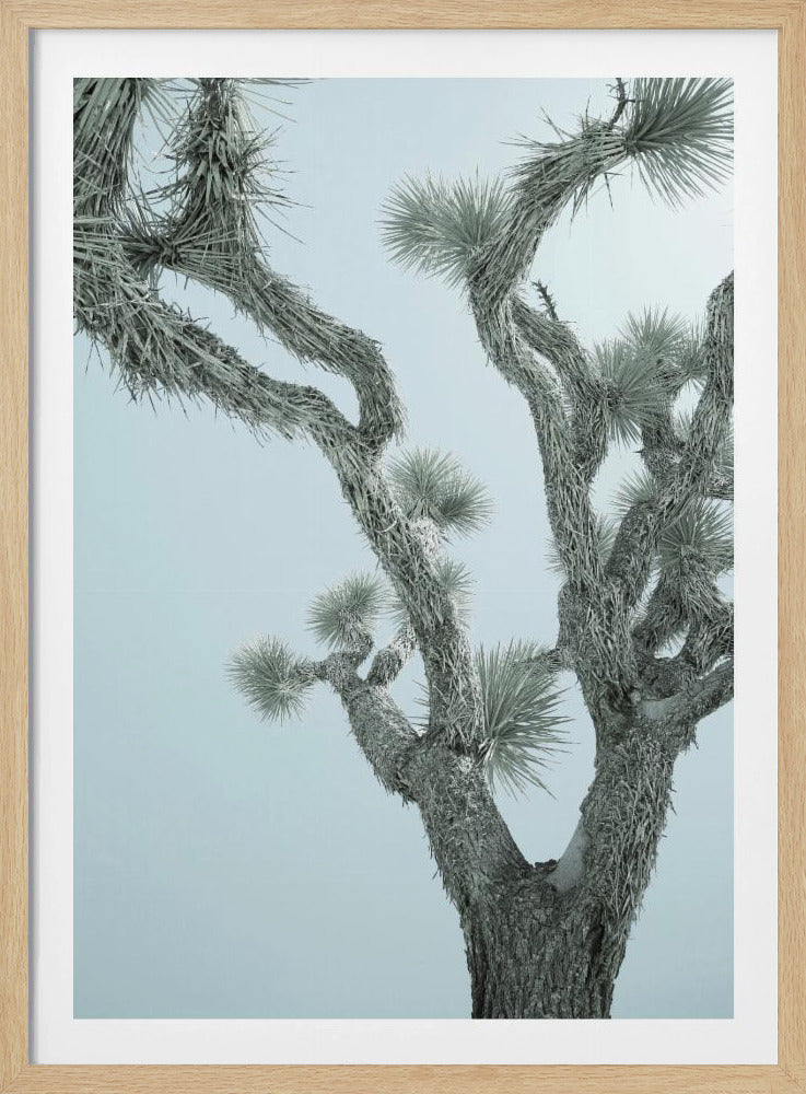 Desert Elegance | Poster