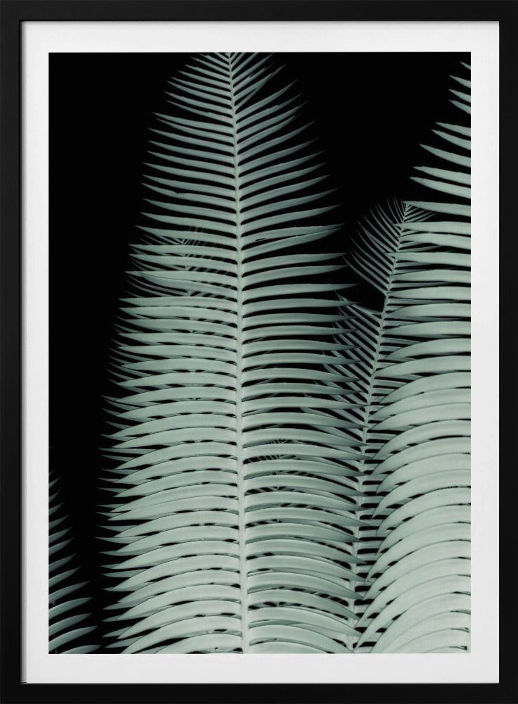 Silver Fronds Symphony | Poster