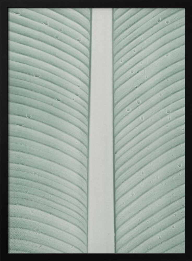 Tropische aderen | Poster