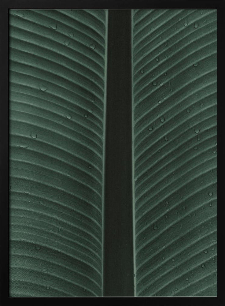Dewy Leaf Symphony | Poster