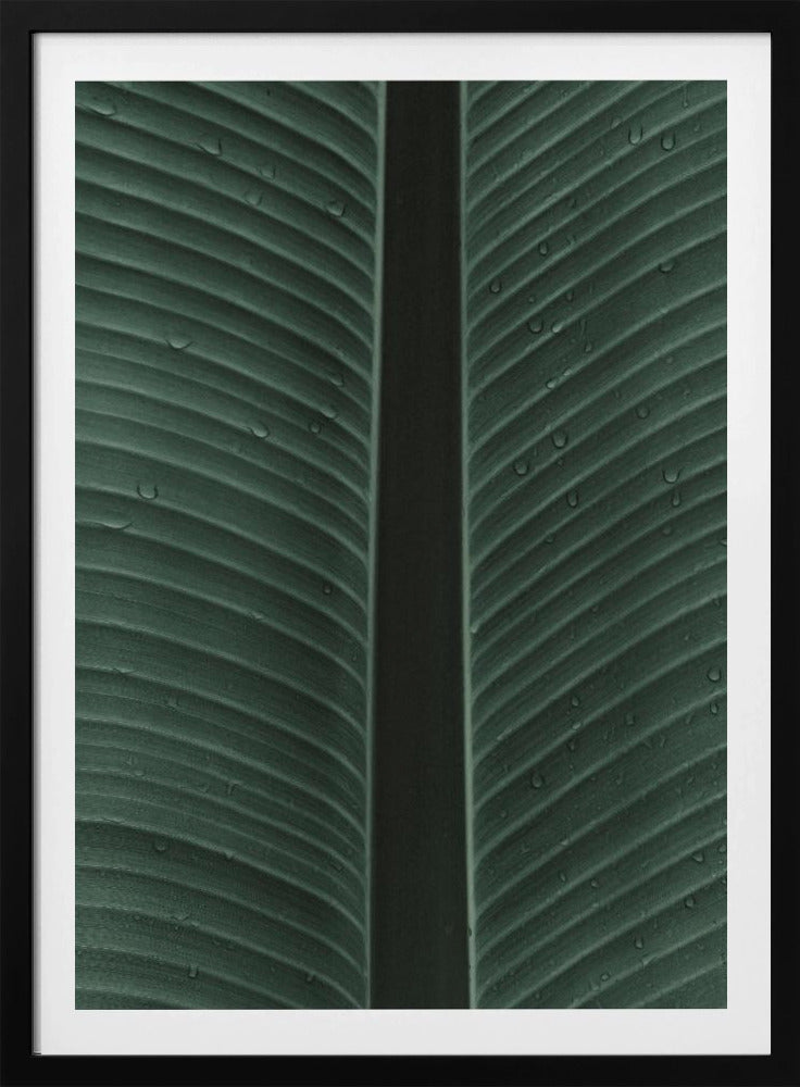 Dewy Leaf Symphony | Poster