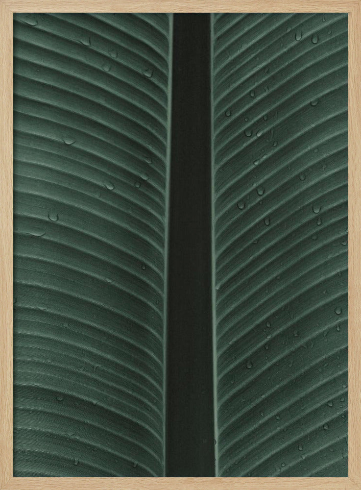 Dewy Leaf Symphony | Poster