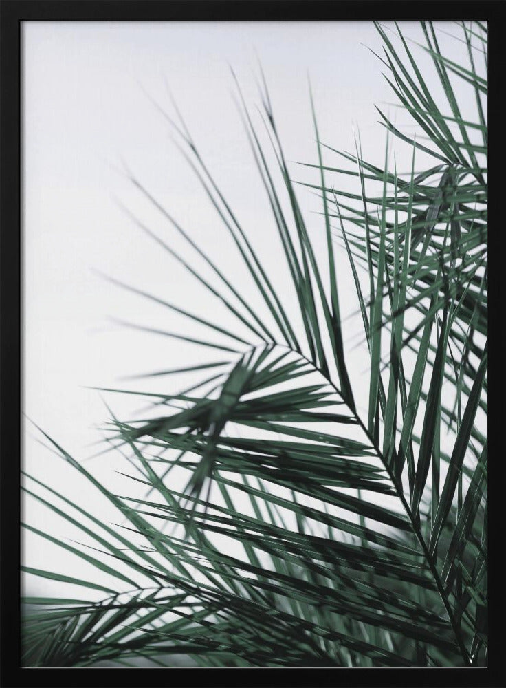 Fluisterende Palmen | Poster
