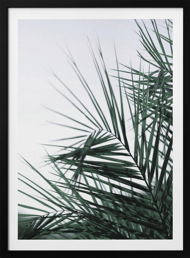 Fluisterende Palmen | Poster