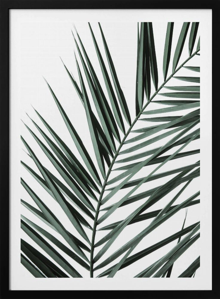 Leafy Elegance | Poster