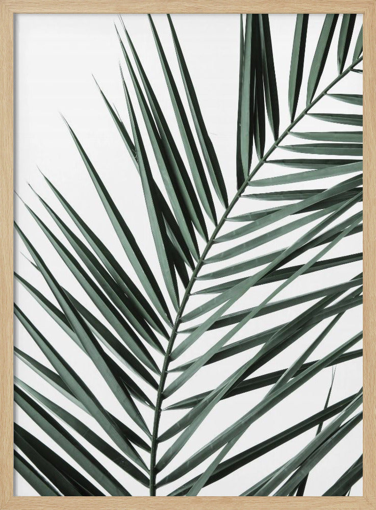 Leafy Elegance | Poster