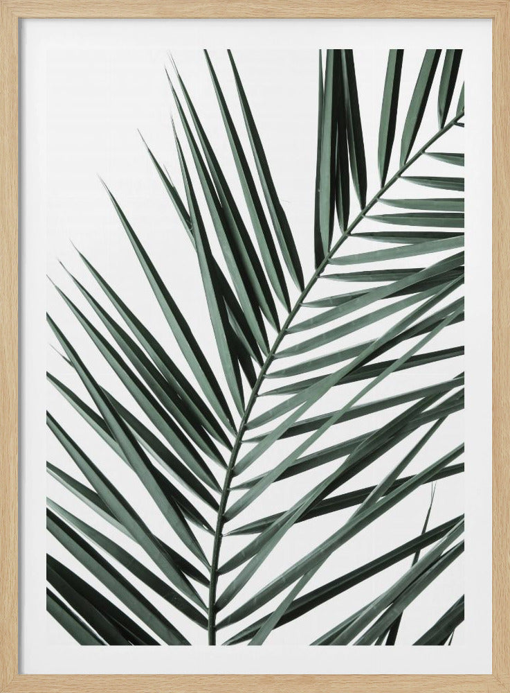 Leafy Elegance | Poster