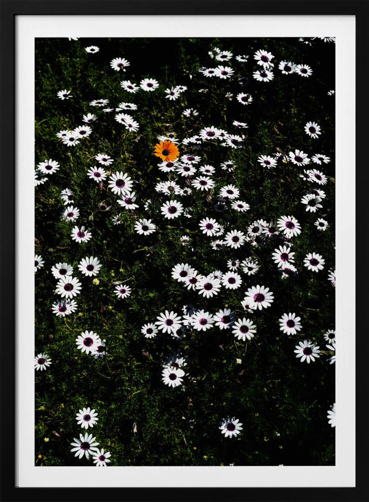 Unique Blossom | Poster