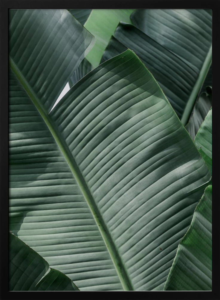 Verdant Leaf Waves | Poster