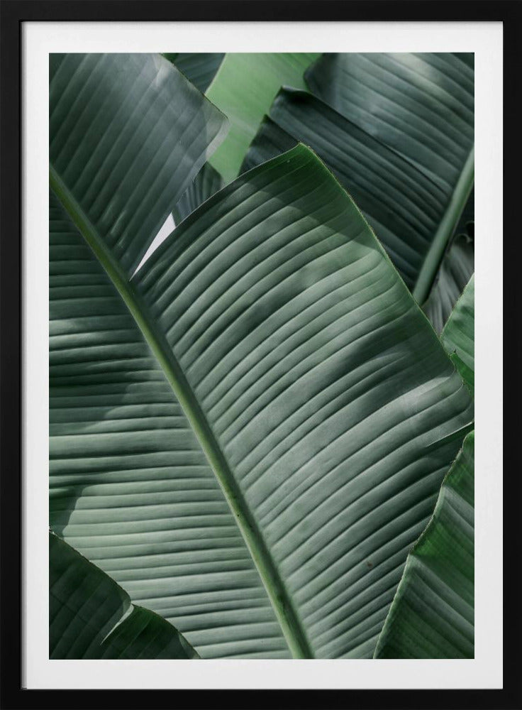 Verdant Leaf Waves | Poster