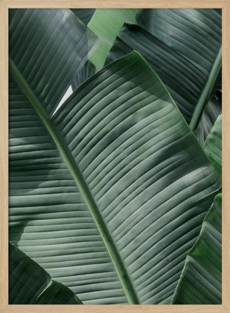 Verdant Leaf Waves | Poster
