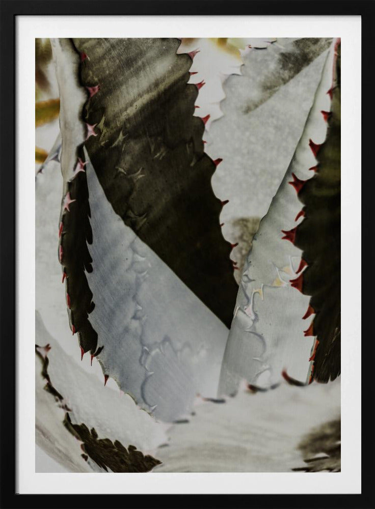 Desert Elegance | Poster