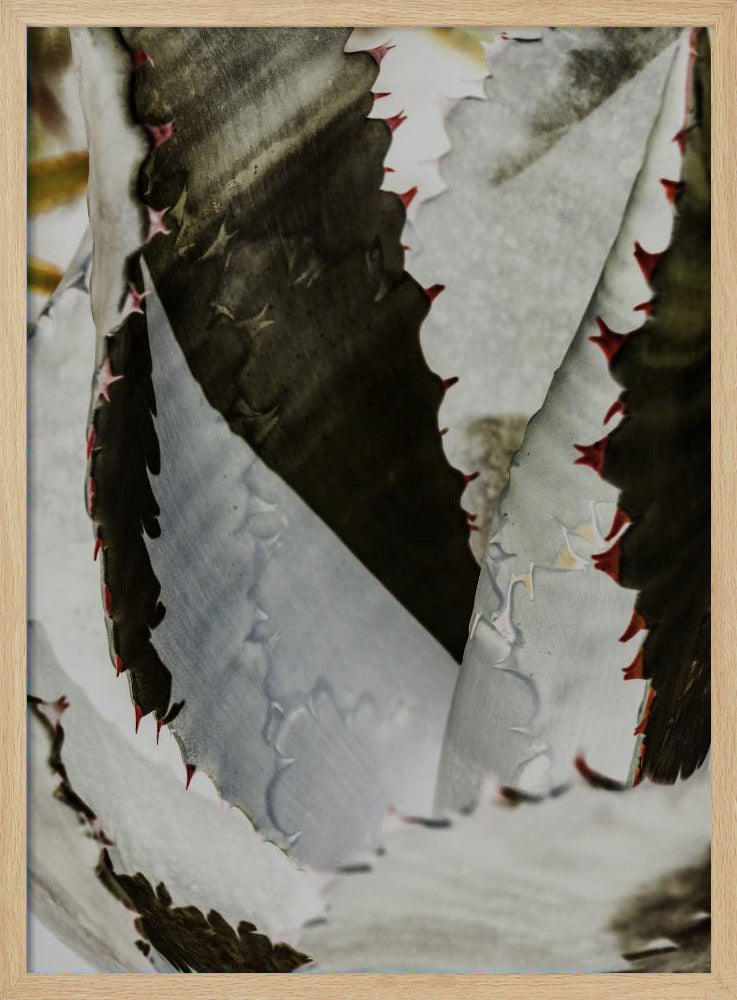 Desert Elegance | Poster