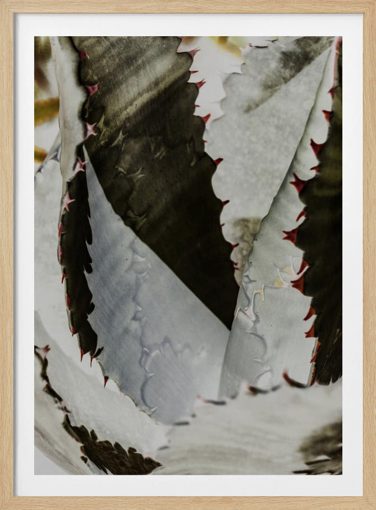 Desert Elegance | Poster