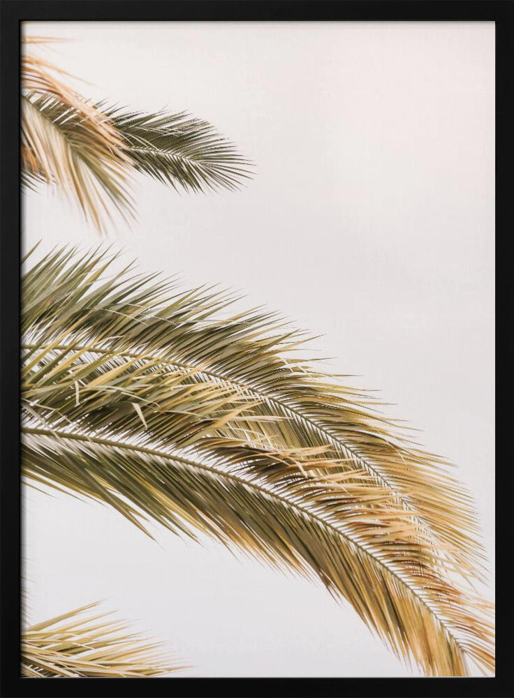 Golden Palm Breeze | Poster
