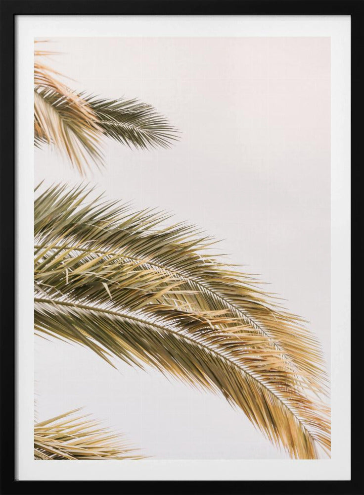 Golden Palm Breeze | Poster