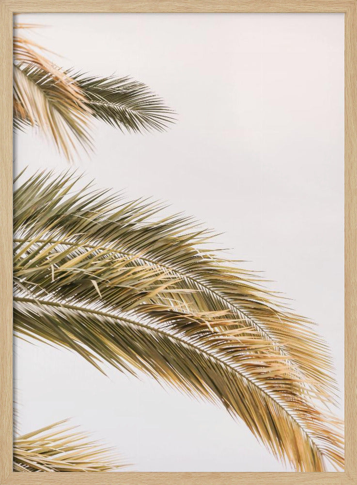 Golden Palm Breeze | Poster