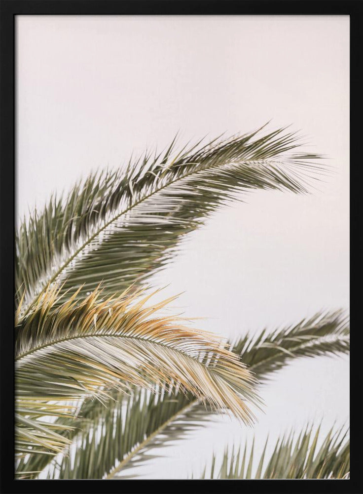 Serene Palms Sway | Poster