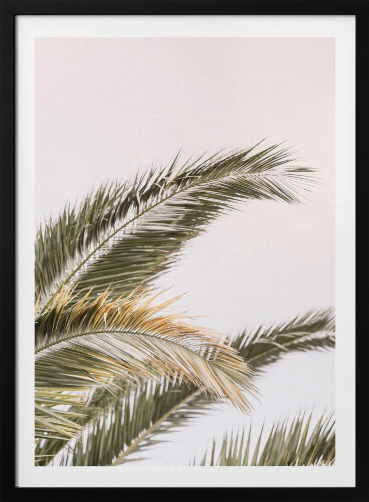 Serene Palms Sway | Poster