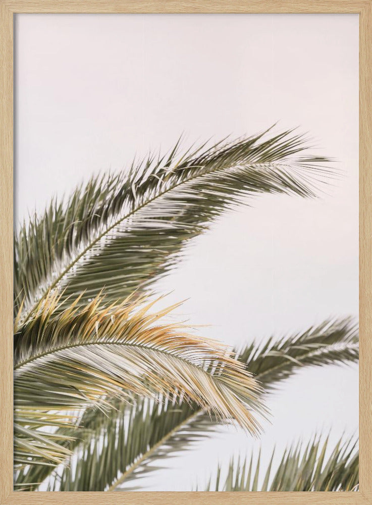 Serene Palms Sway | Poster