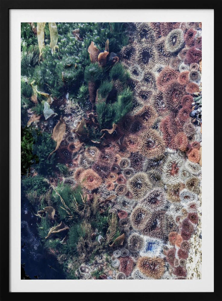 Ocean's Tapestry | Poster