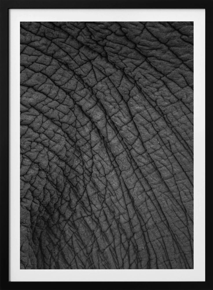 Elephant's Tapestry | Poster