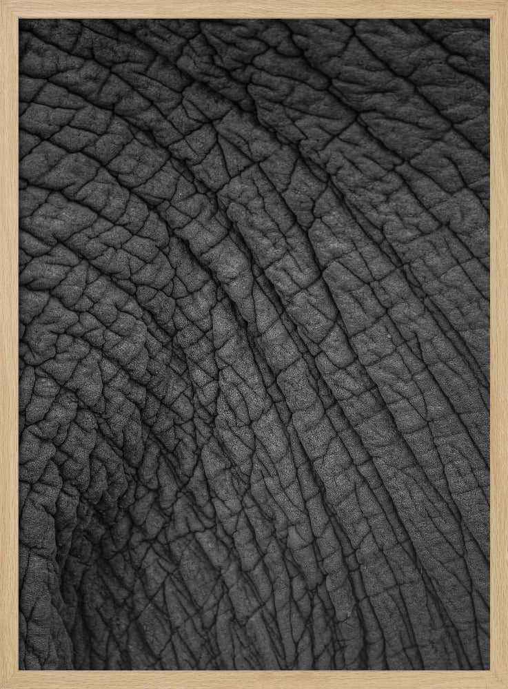 Elephant's Tapestry | Poster