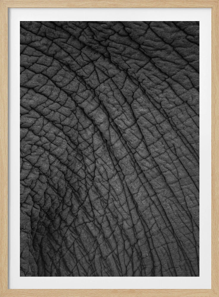 Elephant's Tapestry | Poster