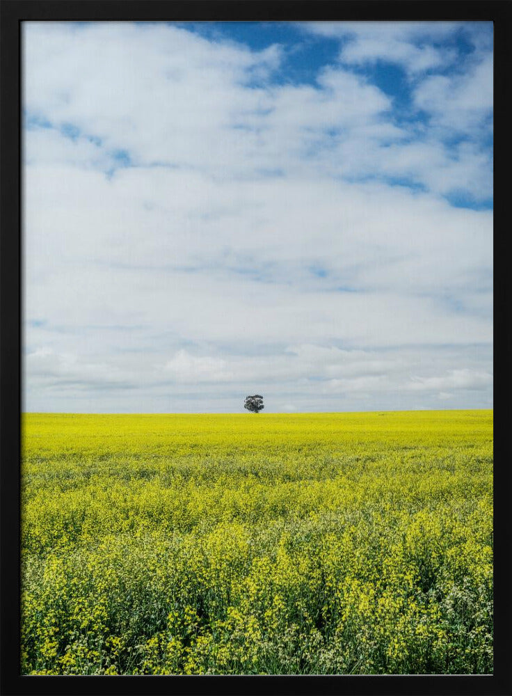 Eenzame boomhorizon | Poster
