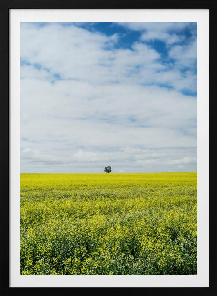 Eenzame boomhorizon | Poster