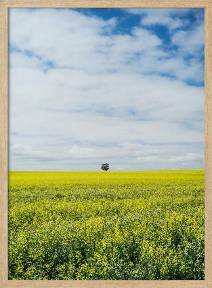 Eenzame boomhorizon | Poster