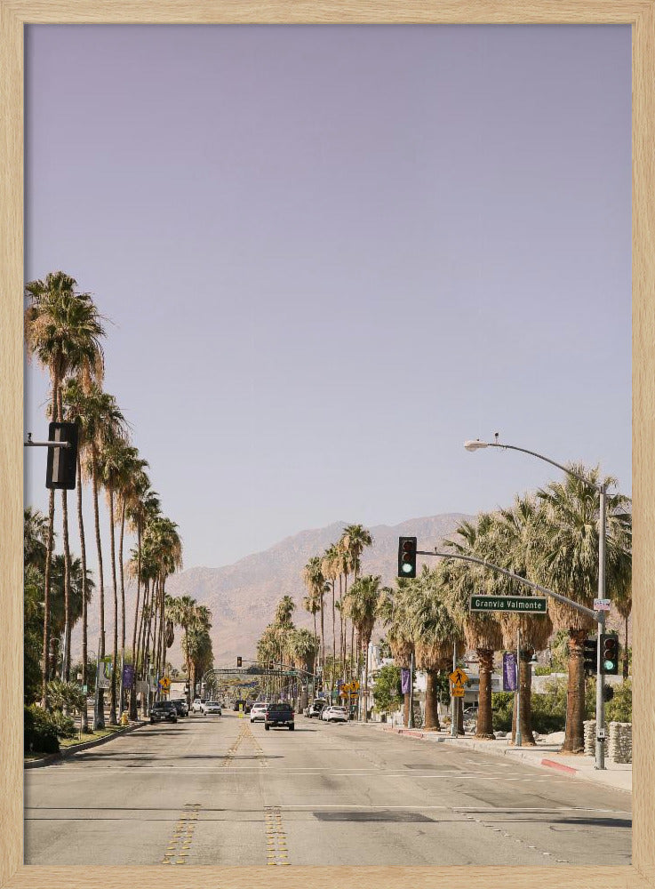 Laan met palmbomen | Poster