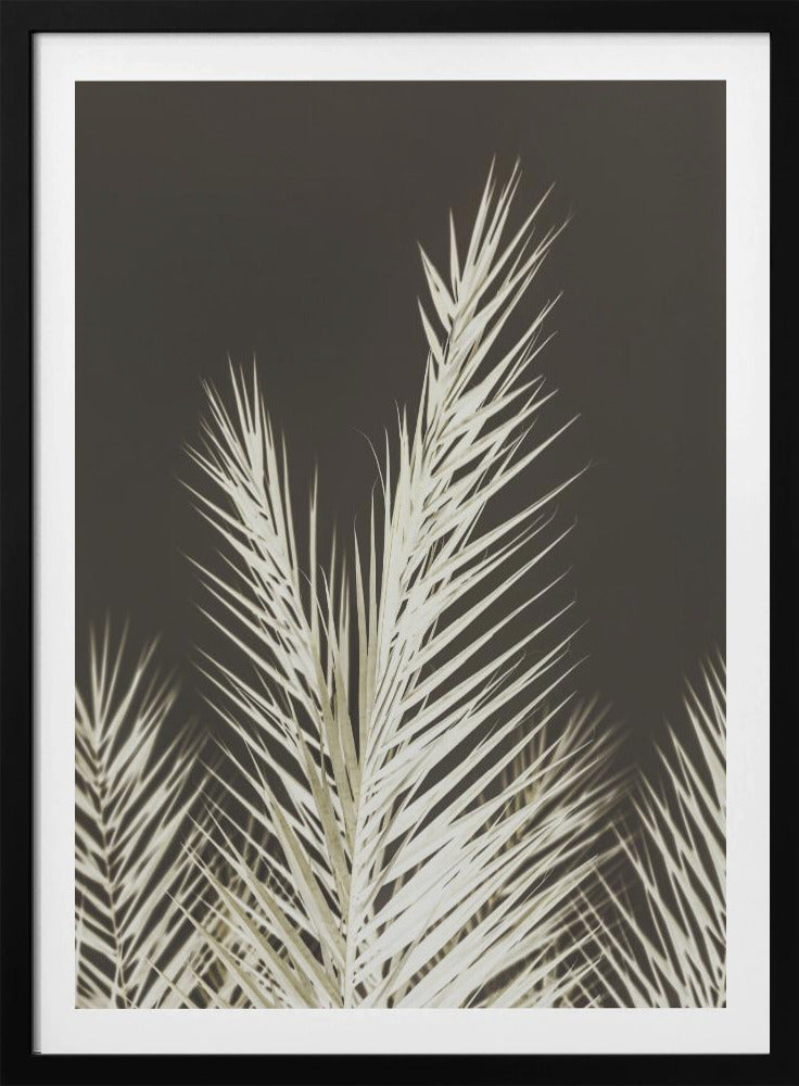 Luminescent Fronds | Poster