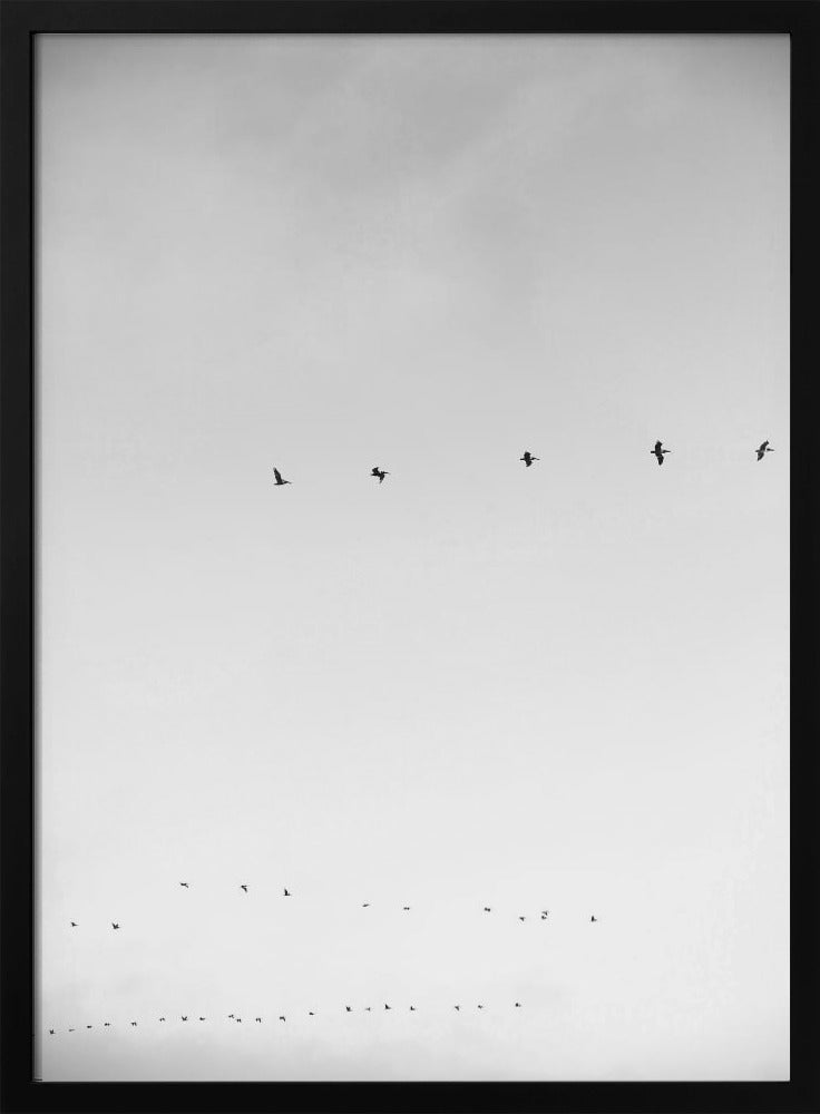 Hemelwaartse vlucht | Poster