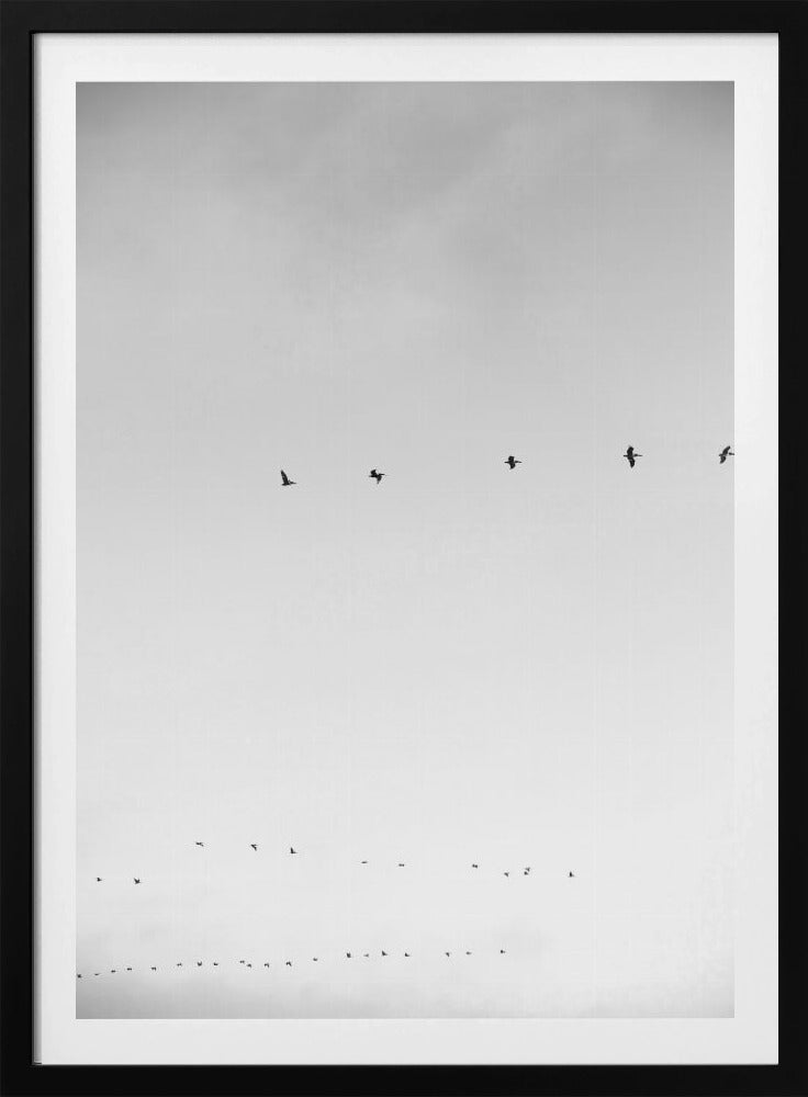 Hemelwaartse vlucht | Poster