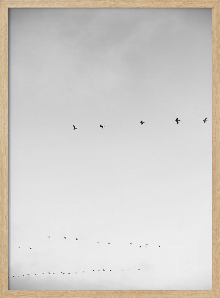 Hemelwaartse vlucht | Poster