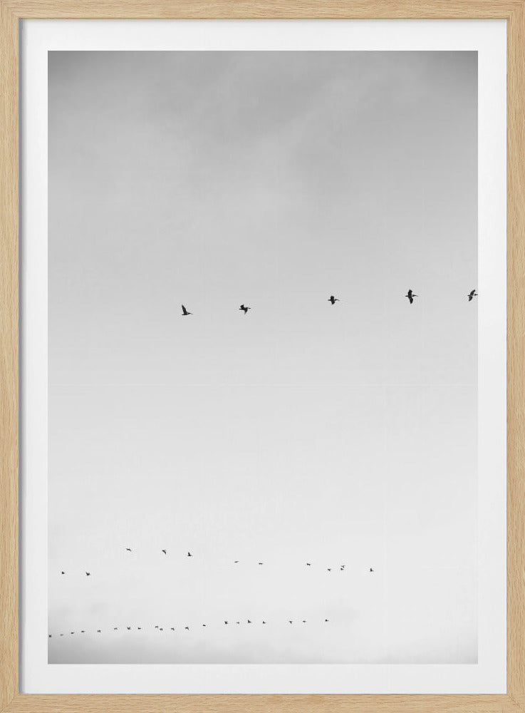 Hemelwaartse vlucht | Poster