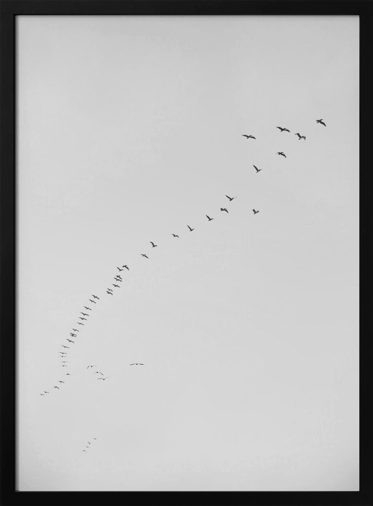 Flight in Formation | Poster