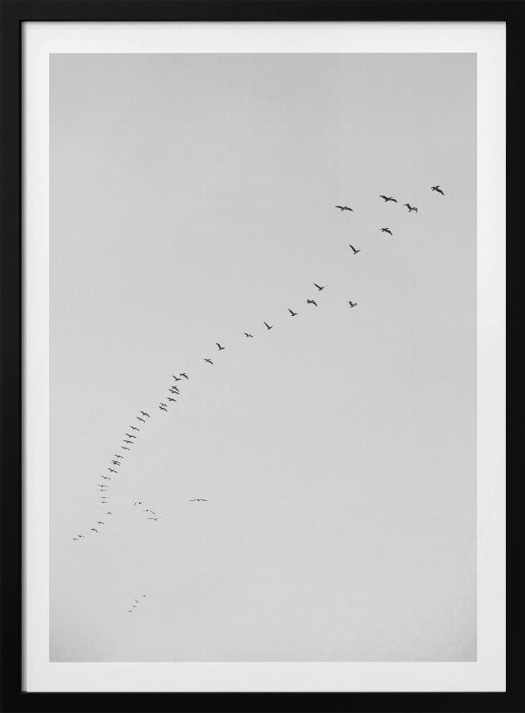Flight in Formation | Poster